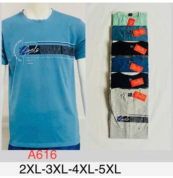 Футболка Ayden (2XL-5XL) A616 mix (лето)