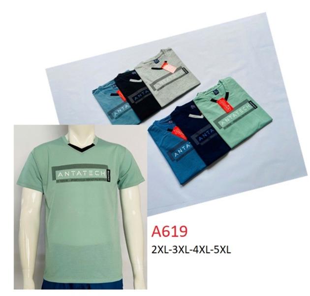 Футболка Ayden (2XL-5XL) A619 mix (лето)
