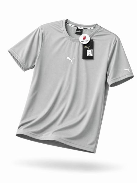 Футболка Alex Clothes (S-2XL) 14565 grey (лето)