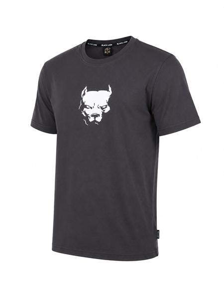 Футболка Alex Clothes (S-2XL) 14579 grey (лето)