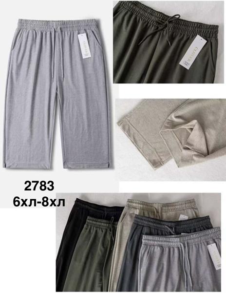 Бриджи Minh (6XL-8XL) 2783 mix (лето)