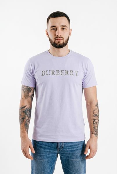 Футболка Sport style (M-2XL) 5-4 l.grey (лето)