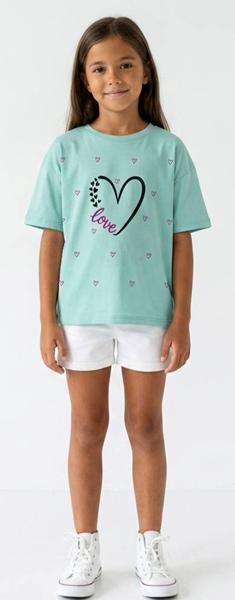 Футболка Malibu2 (9-12) ML221 mint (лето)