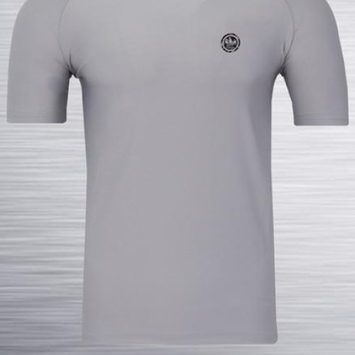 Футболка AZT (S-2XL) AZ422-5449 l.grey (лето) AZT AZ422-5449 l.grey