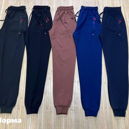 Штаны спорт Navas (M-3XL) NW1301 blue (деми) Navas NW1301 blue