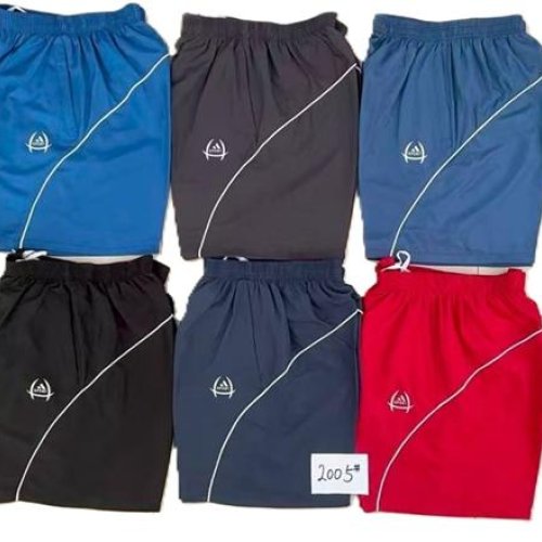 Шорты Essa (XL-5XL) 2005 l.blue (лето) Essa 2005 l.blue