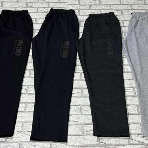 Штаны спорт Essa (50-58) E1415 grey (деми) Essa E1415 grey