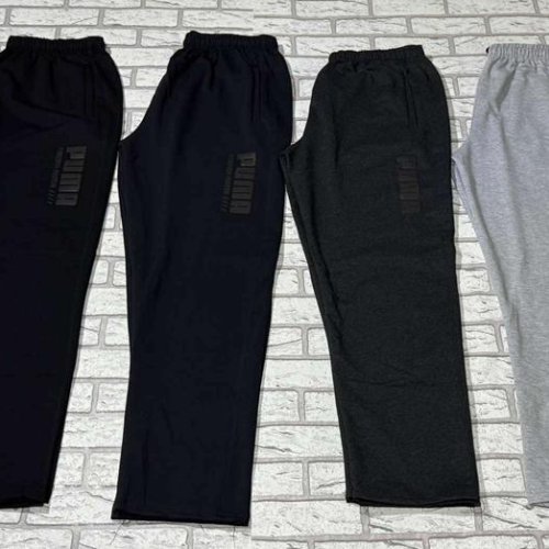 Штаны спорт Essa (50-58) E1416 l.grey (деми) Essa E1416 l.grey