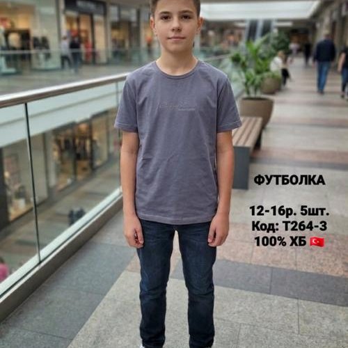 Футболка iBamBino (152-176) T264-3 grey (лето) iBamBino T264-3 grey