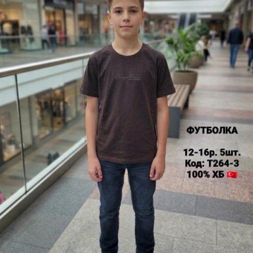 Футболка iBamBino (152-176) T264-3 brown (лето) iBamBino T264-3 brown