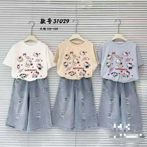 Костюм Delfinka (120-160) 31029 grey (лето) Delfinka 31029 grey