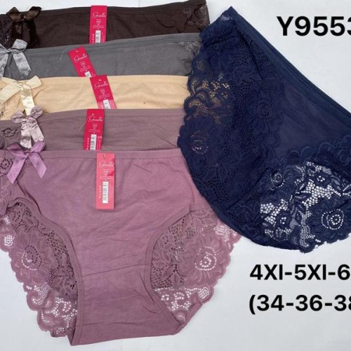 Трусы Redoor (4XL-6XL) Y9553 mix (лето) Redoor Y9553 mix