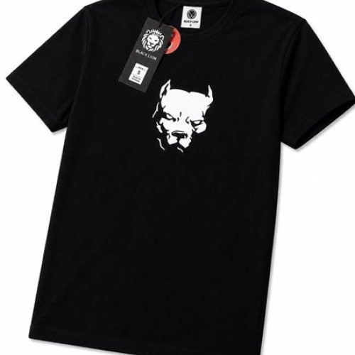 Футболка Alex Clothes (S-2XL) 14437 black (лето) Alex Clothes 14437 black