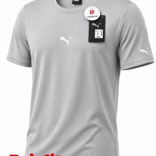 Футболка Alex Clothes (S-2XL) 14519 grey (лето) Alex Clothes 14519 grey