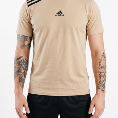 Костюм Sport style (46-54) 11 beige (лето) Sport style 11 beige