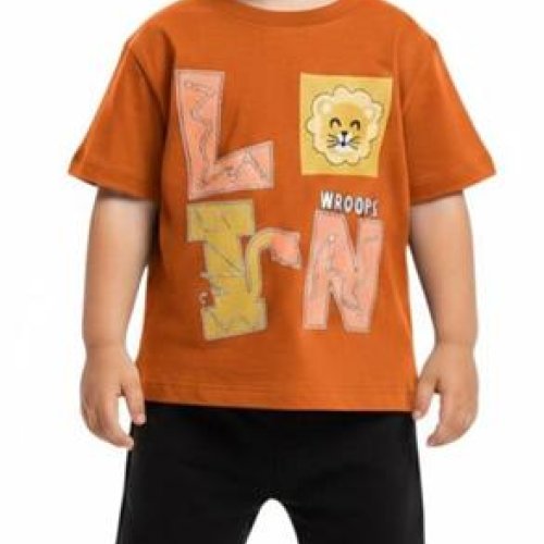 Футболка Malibu2 (1-4) 5103 orange (лето) Malibu2 5103 orange