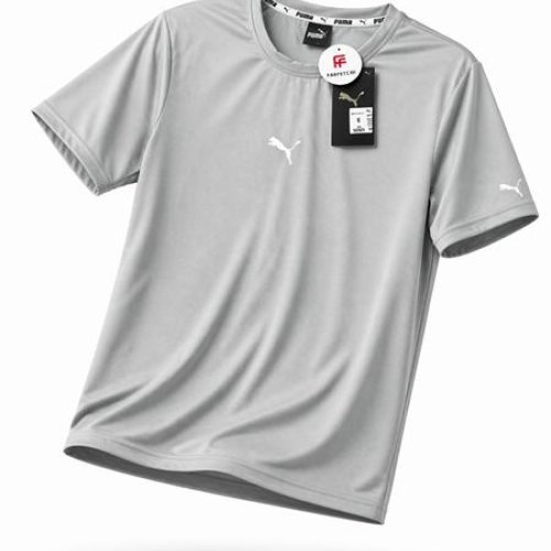 Футболка Alex Clothes (S-2XL) 14565 grey (лето) Alex Clothes 14565 grey