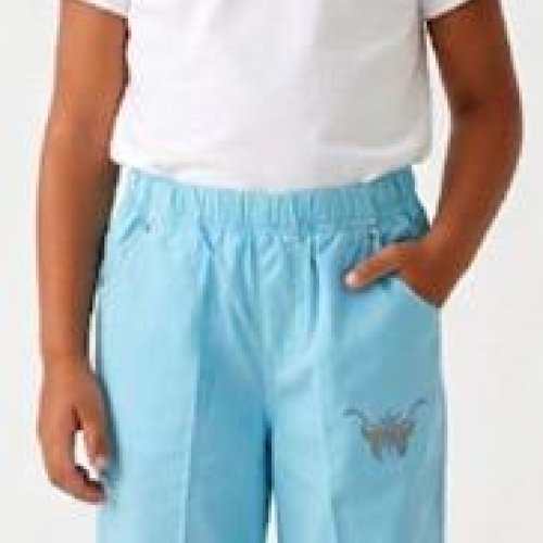 Бриджи Malibu2 (2-5) 1696 l.blue (лето) Malibu2 1696 l.blue