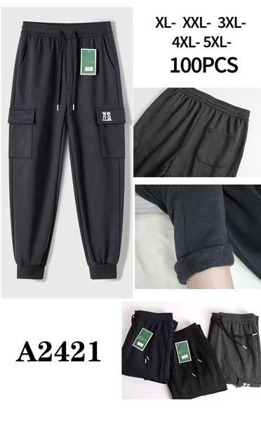 Штаны спорт Giang (XL-5XL) A2421-1 grey (зима)
