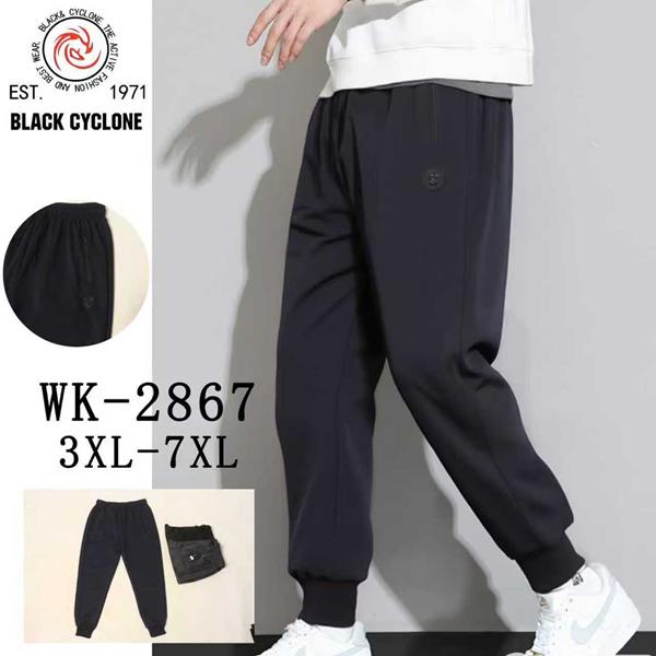 Штаны спорт Giang (3XL-7XL) 2867 navy (деми)
