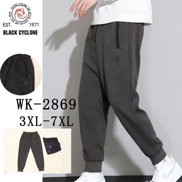 Штаны спорт Giang (3XL-7XL) WK2869 black (деми)