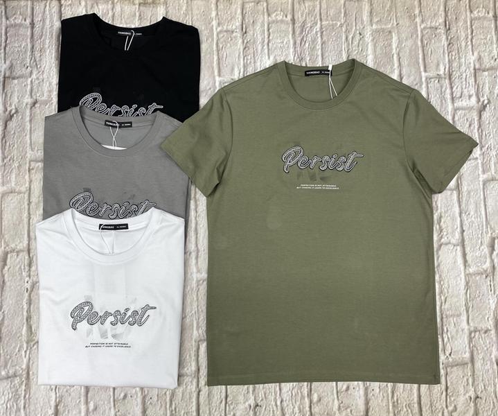 Футболка LiOpt (L-4XL) L55 grey (лето)