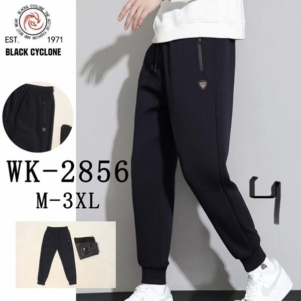 Штаны спорт Giang (M-3XL) 2856 navy (деми)