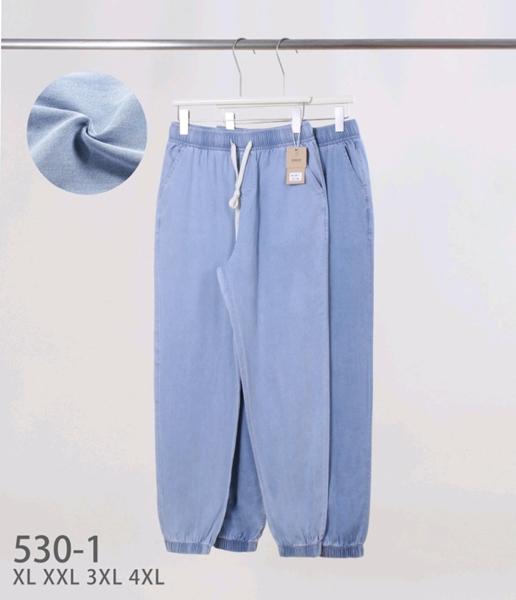 Штаны Hoan (XL-4XL) 530-1 mix (деми)