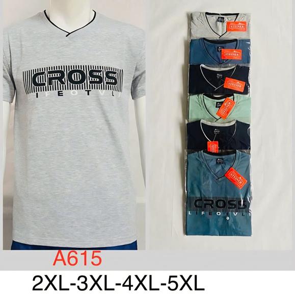 Футболка Hoan (2XL-5XL) A615 mix (лето)