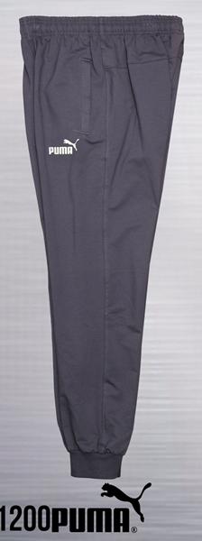 Штаны спорт AZT (XL-3XL) AZ661-1200 grey (деми)