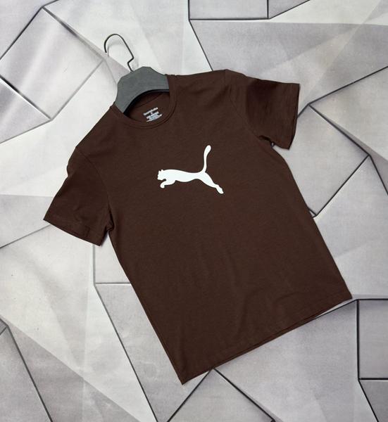 Футболка Rassul (S-2XL) 67667 brown (лето)