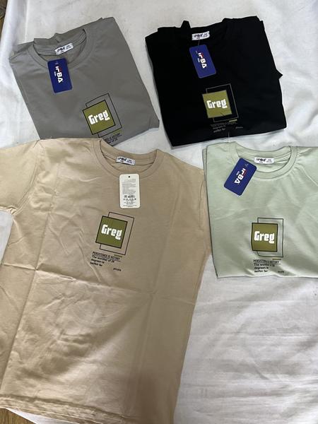 Футболка Zayka (13-16) ZA2976 grey (лето)