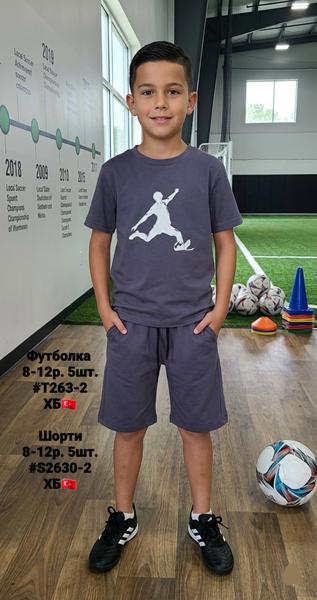Футболка AMZ (8-12) A1-T236-2 grey (лето)