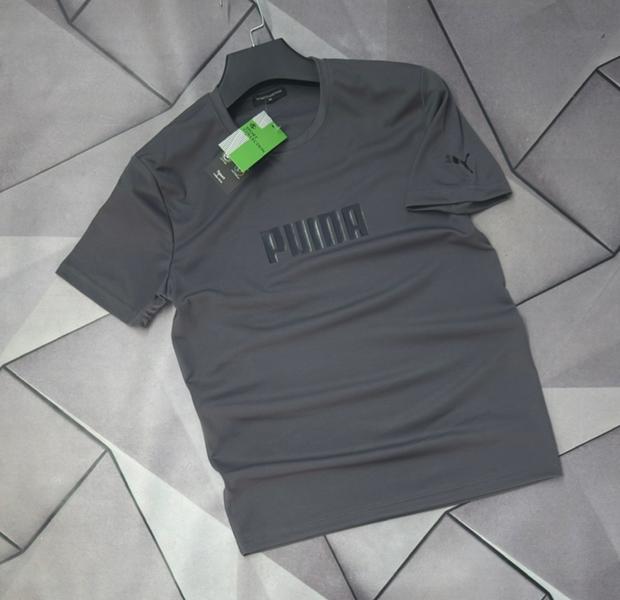 Футболка Rassul (S-2XL) 67713 grey (лето)