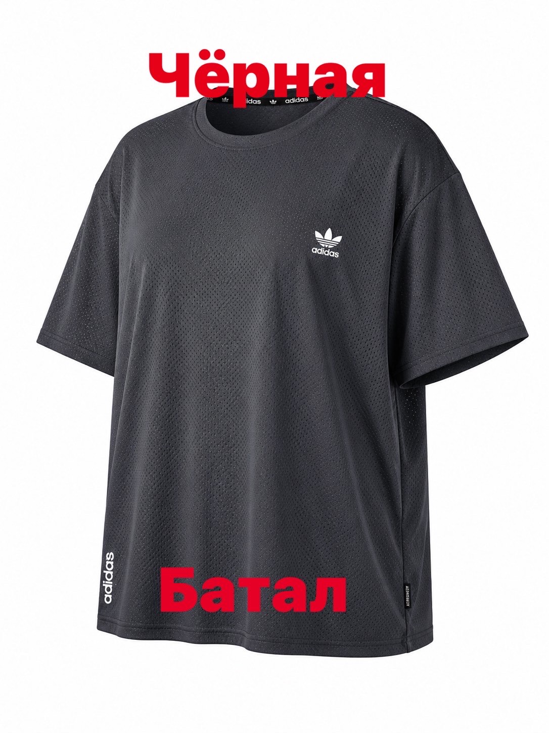 Футболка Alex Clothes (2XL-6XL) 14600 black (лето)
