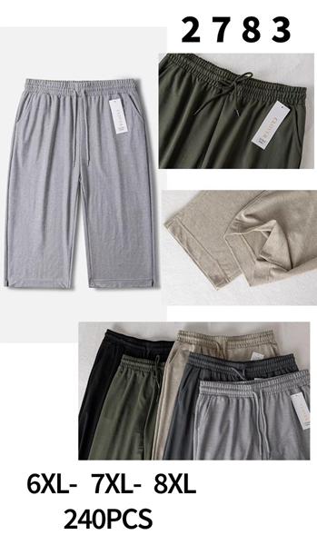 Бриджи Anion (6XL-8XL) 2783 mix (лето)