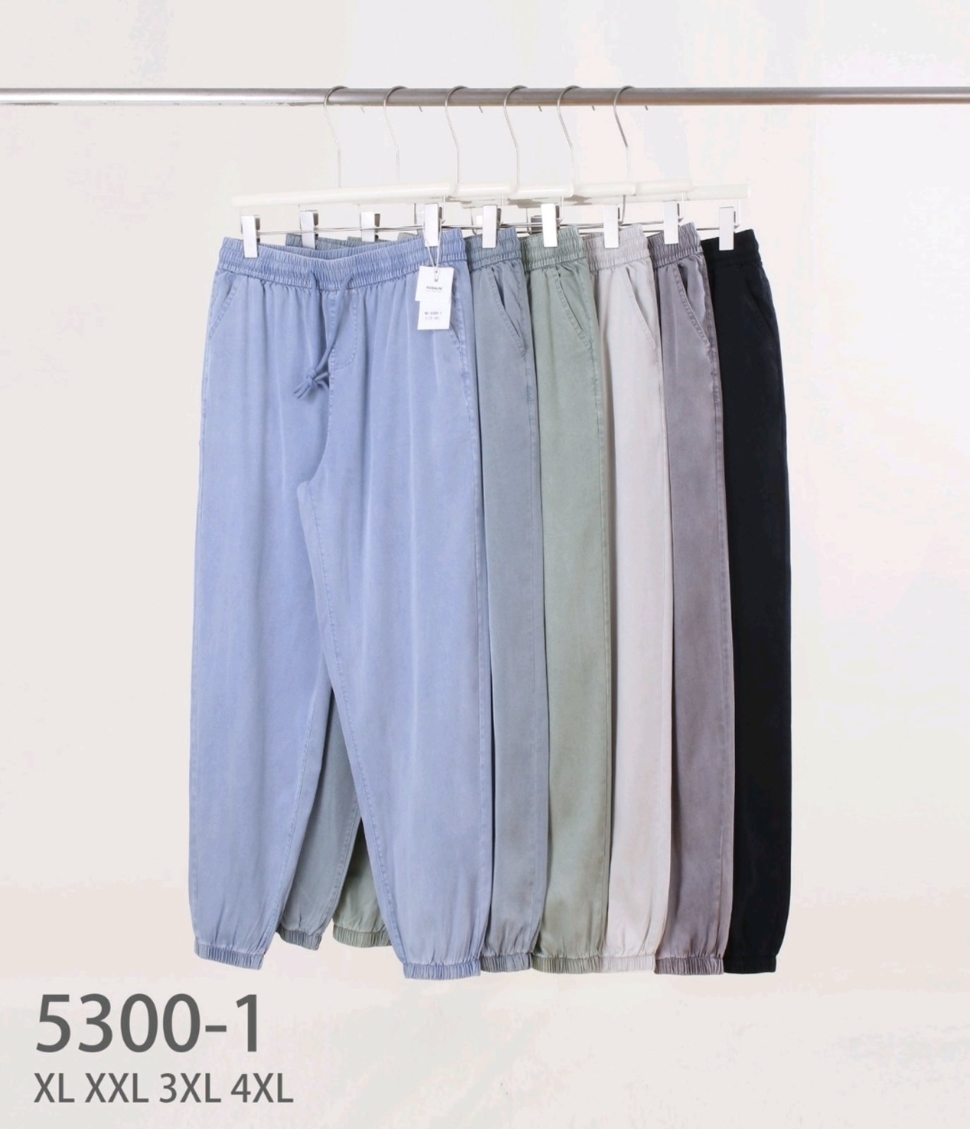 Штаны Hoan (XL-4XL) 5300-1 mix (деми)