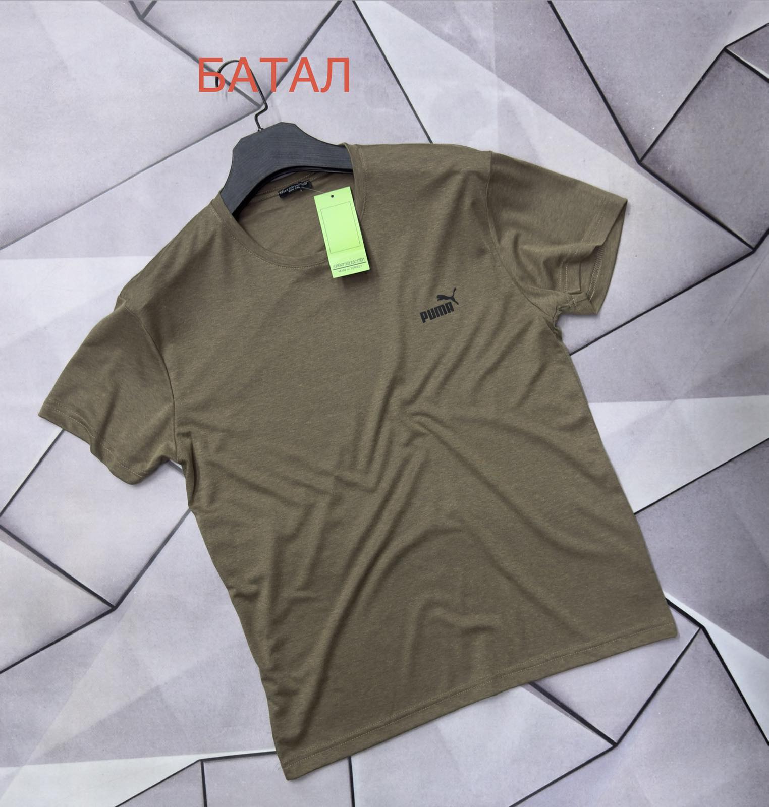 Футболка Rassul (XL-5XL) 67907 khaki (лето)