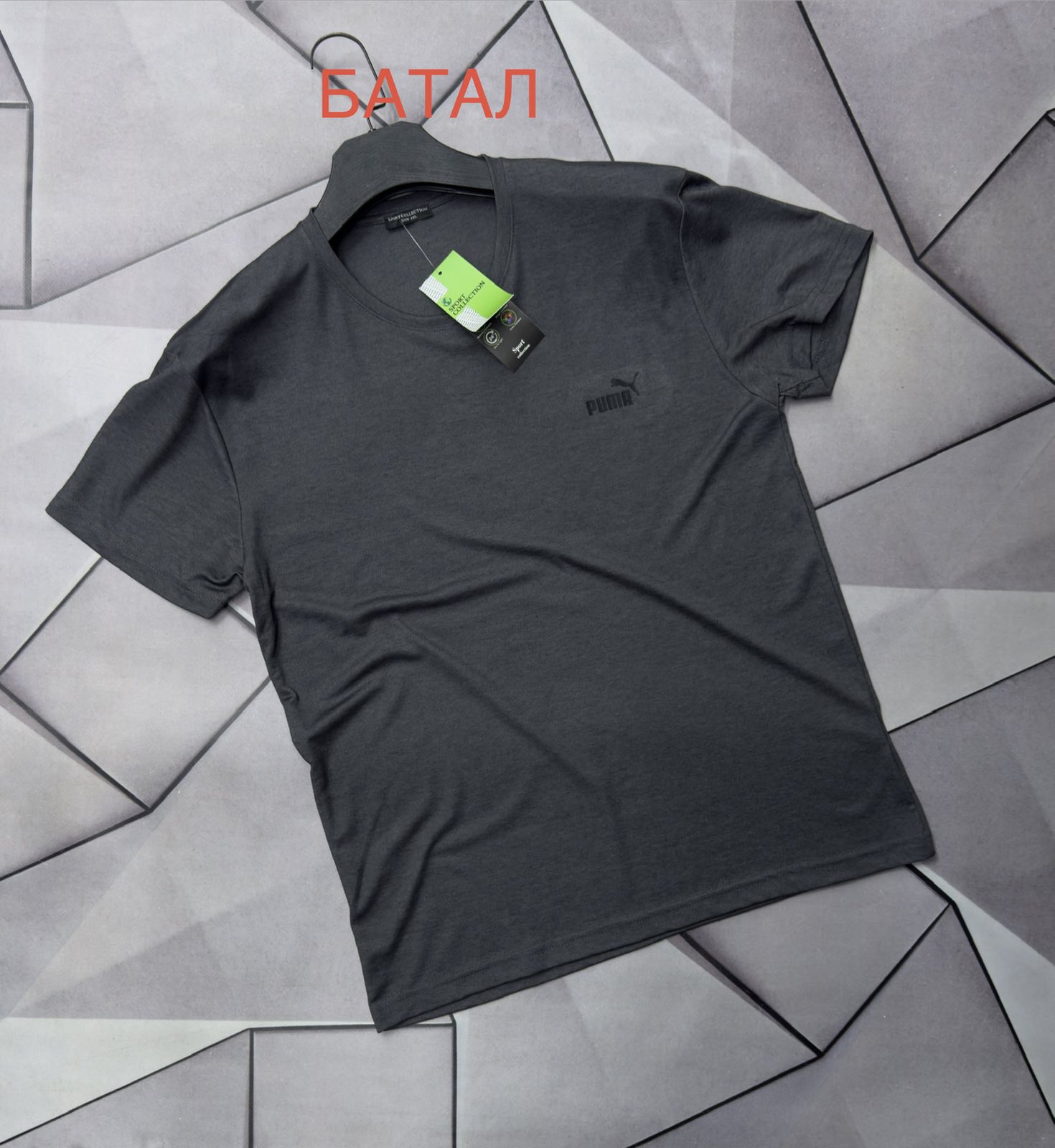 Футболка Rassul (XL-5XL) 67908 d.grey (лето)