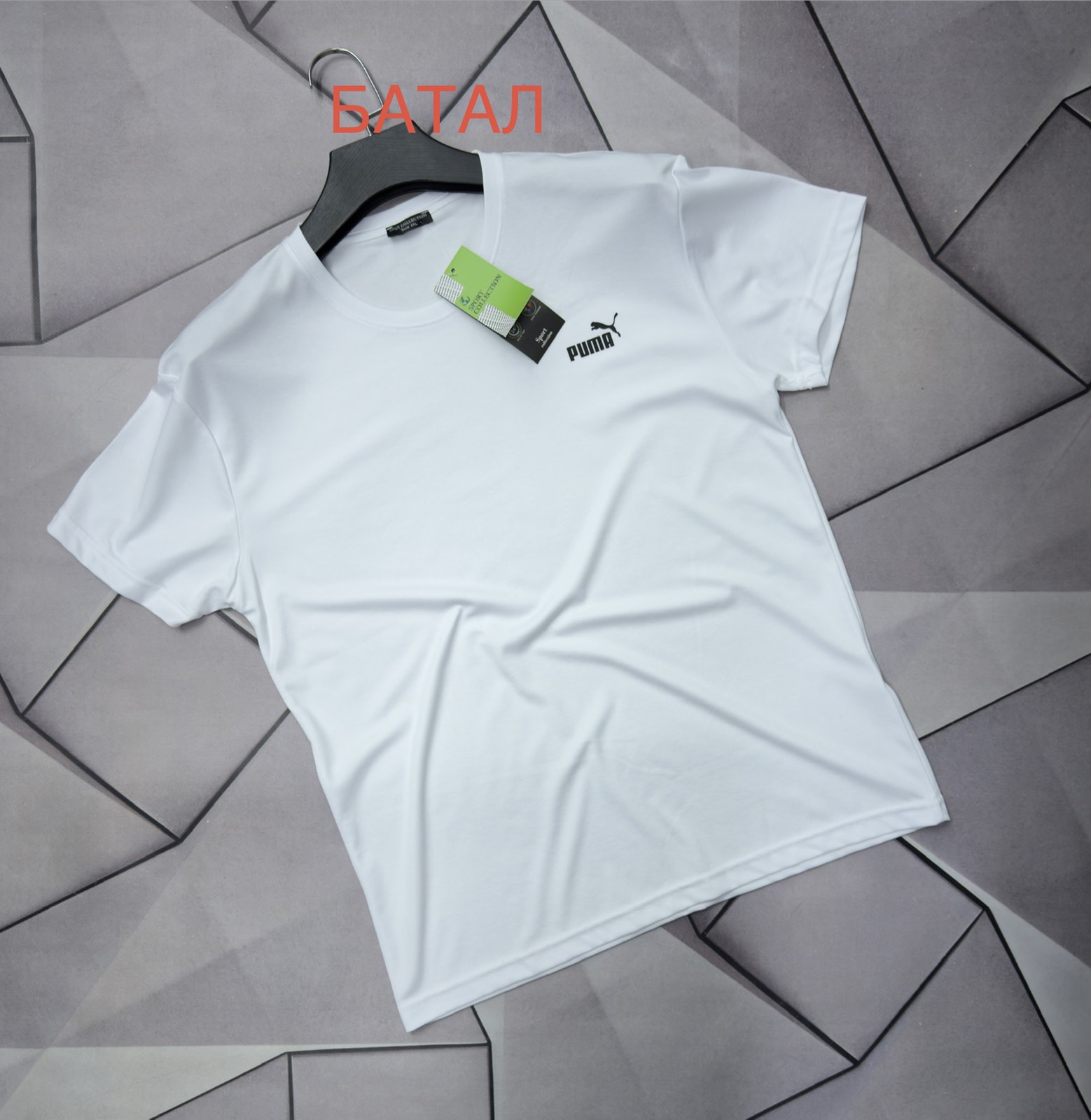 Футболка Rassul (XL-5XL) 67909 white (лето)