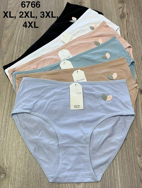 Трусы Comfort (XL-4XL) 6766 mix (деми)