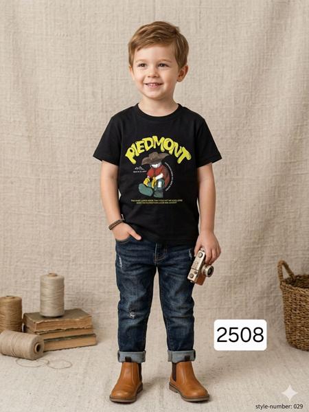 Футболка Фунтик (2-6) 2508 black (лето)