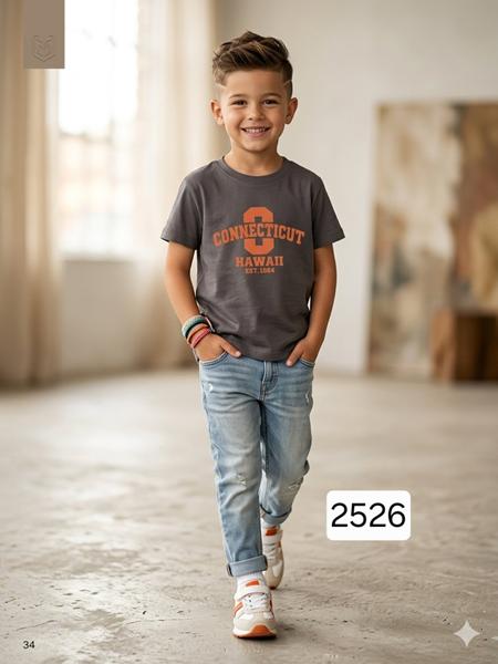 Футболка Фунтик (2-6) 2526 grey (лето)