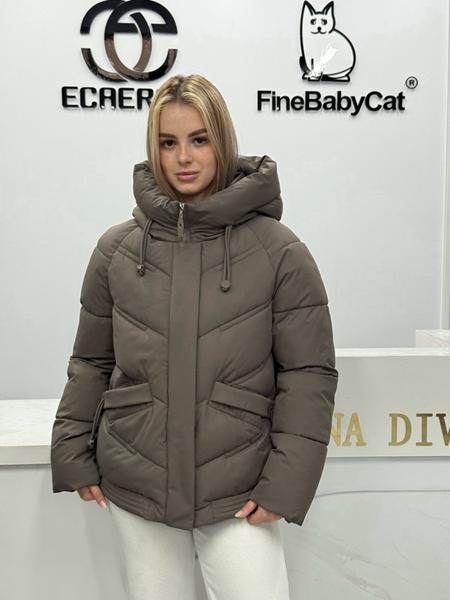 Куртка DGMD (M-2XL) 6009 grey (деми)