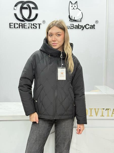 Куртка DGMD (M-2XL) 2690 black (деми)