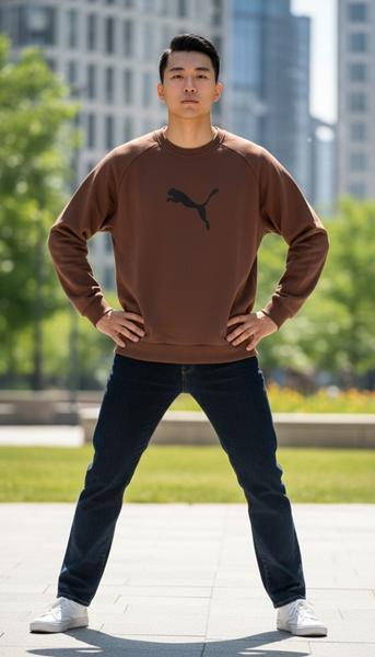 Свитер Shon (M-3XL) S3678 brown (деми)