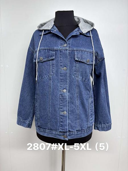 Куртка Jacket (XL-5XL) 2807 blue (деми)