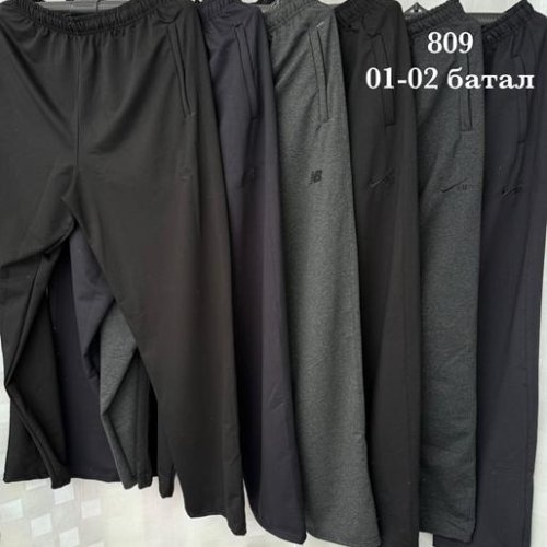 Штаны спорт Shon (58-66) 02 grey (деми) Shon 02 grey