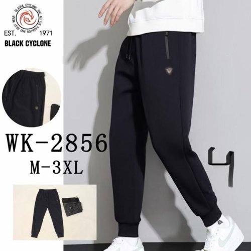 Штаны спорт Giang (M-3XL) 2856 grey (деми) Giang 2856 grey