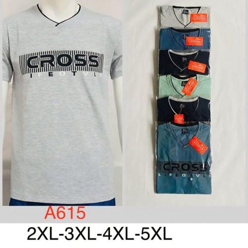 Футболка Hoan (2XL-5XL) A615 mix (лето) Hoan A615 mix